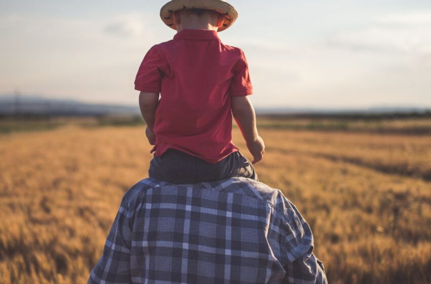Las Reflexiones del Abuelo